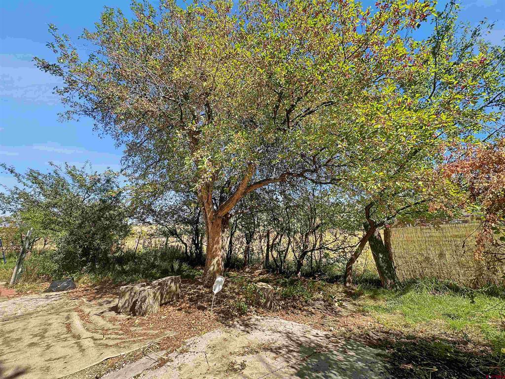 39287 HIGHWAY 92