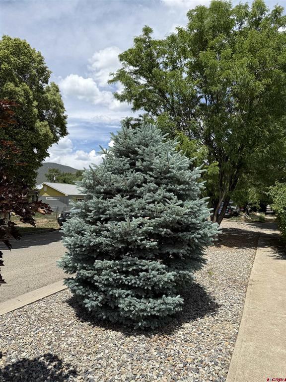 201 Box Elder Avenue Unit: 4