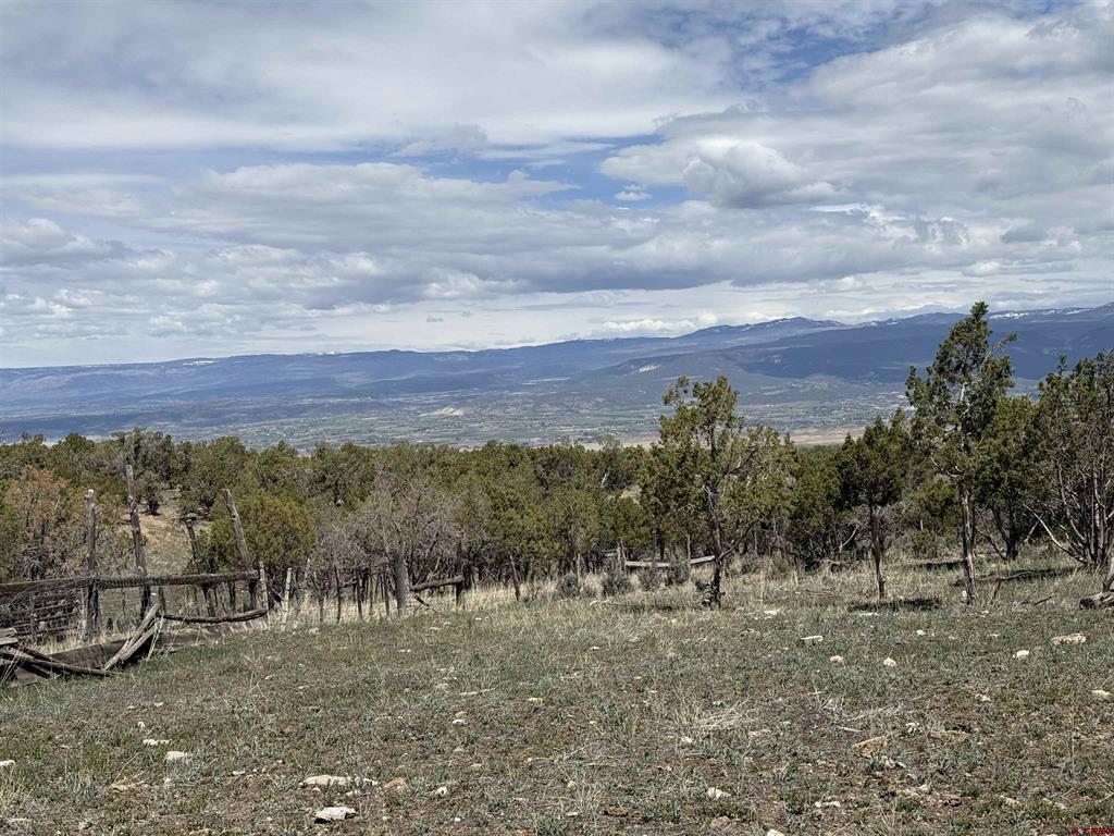34319 Fruitland Mesa Road