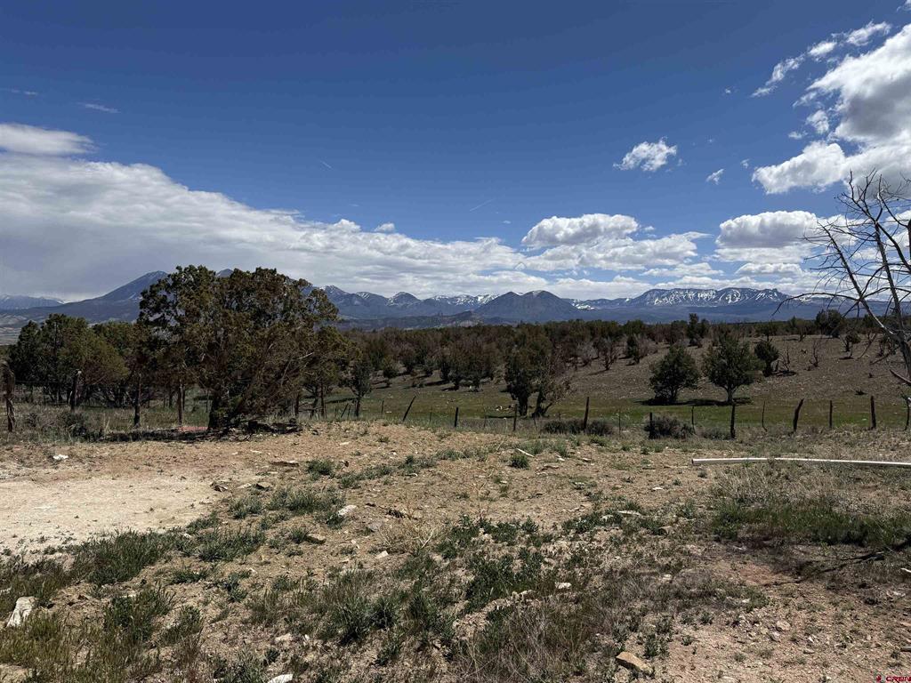 34319 Fruitland Mesa Road