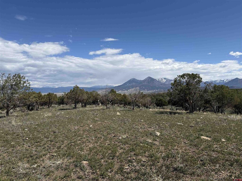 34319 Fruitland Mesa Road
