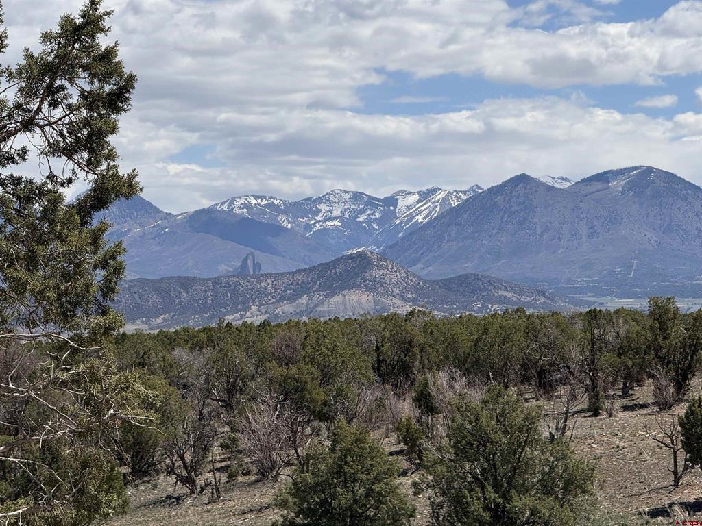 34319 Fruitland Mesa Road