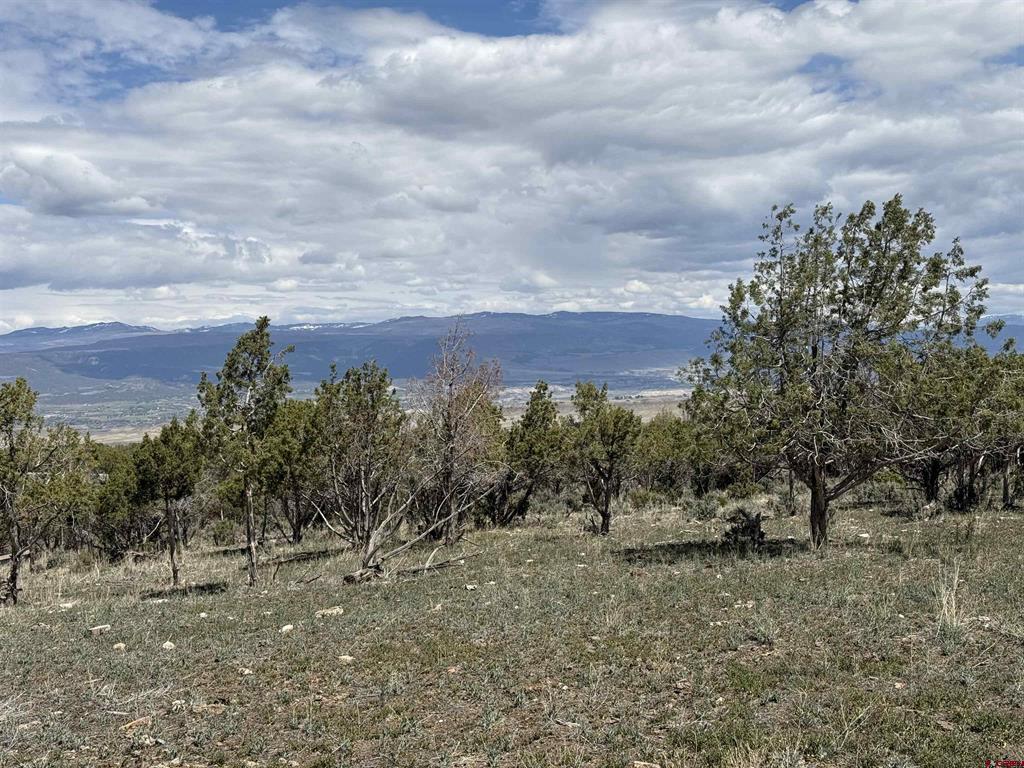 34319 Fruitland Mesa Road