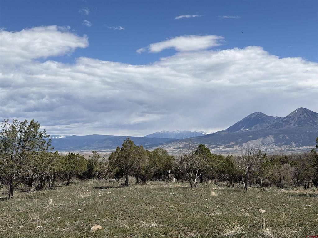 34319 Fruitland Mesa Road