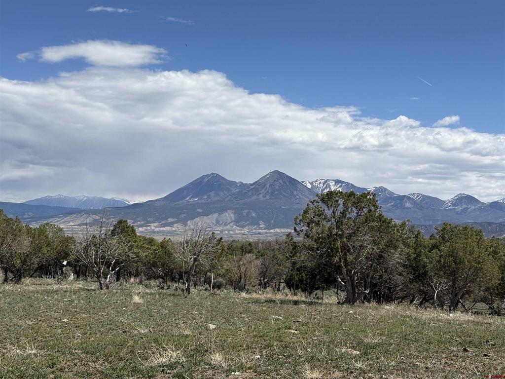 34319 Fruitland Mesa Road