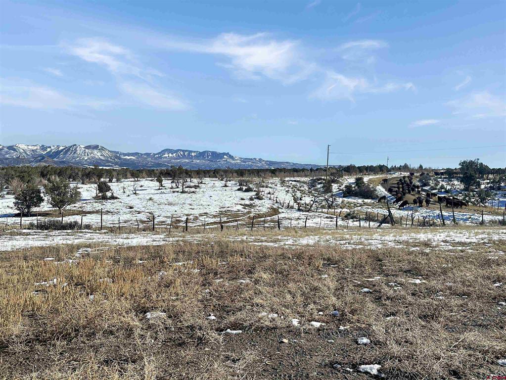 34319 Fruitland Mesa Road