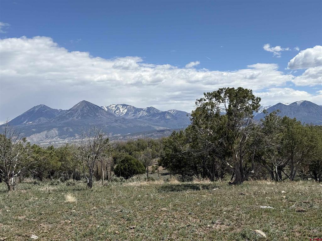 34319 Fruitland Mesa Road