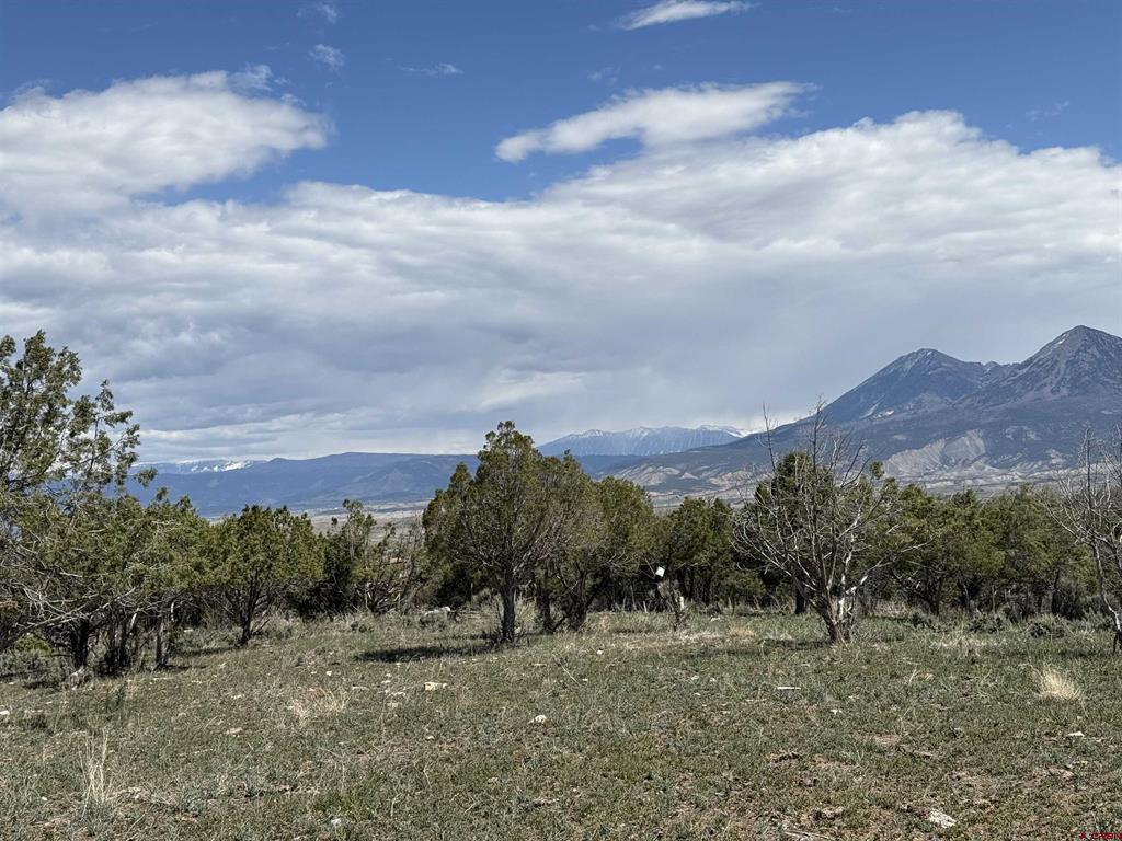34319 Fruitland Mesa Road