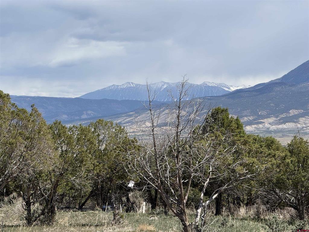 34319 Fruitland Mesa Road