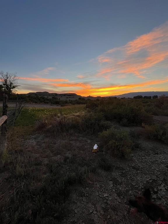6200 Stirrup Creek Road