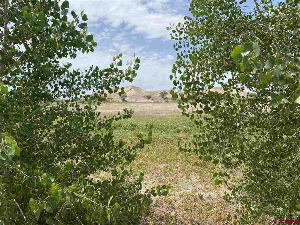 6200 Stirrup Creek Road