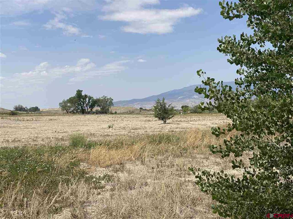 6200 Stirrup Creek Road