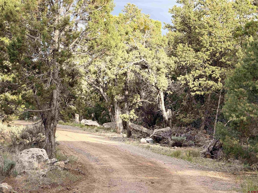 29501 P50 Road