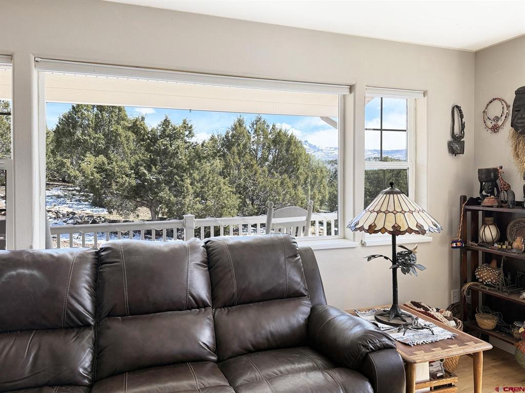 39881 Fruitland Mesa Road