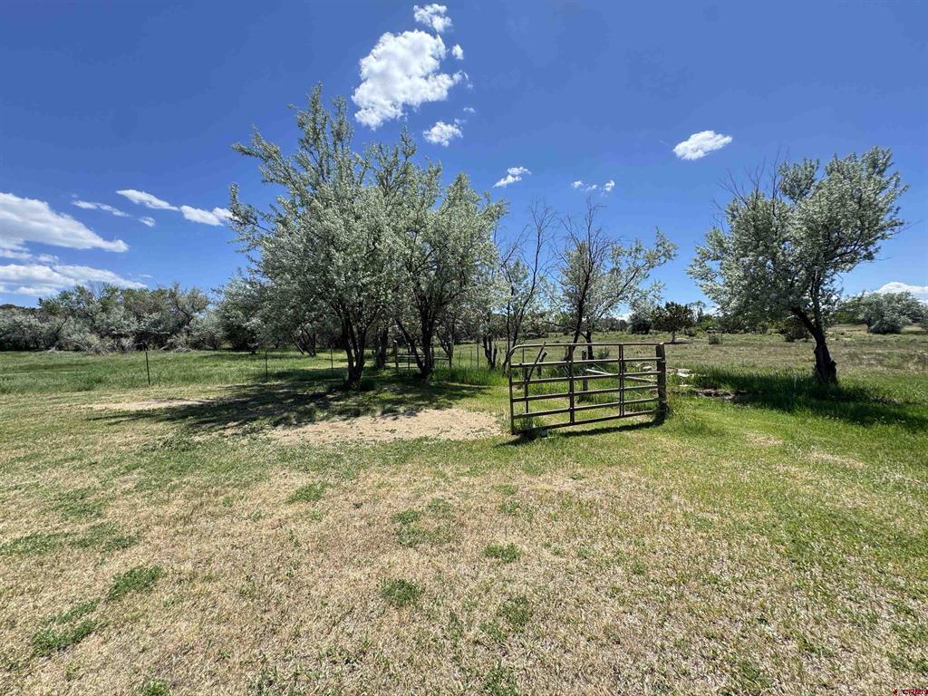 251 Black Sage Road