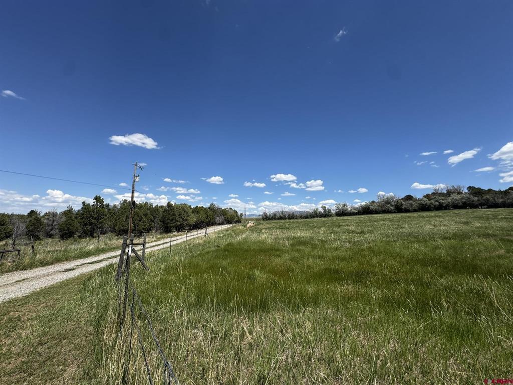 251 Black Sage Road