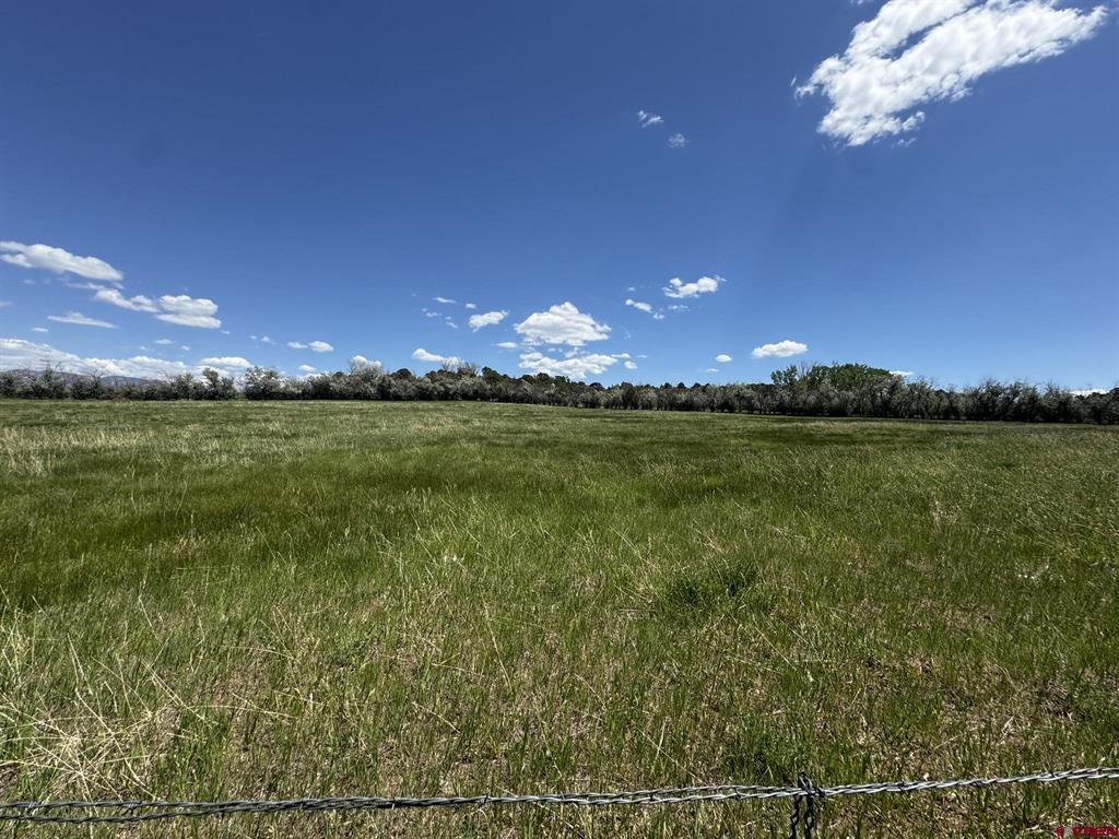251 Black Sage Road