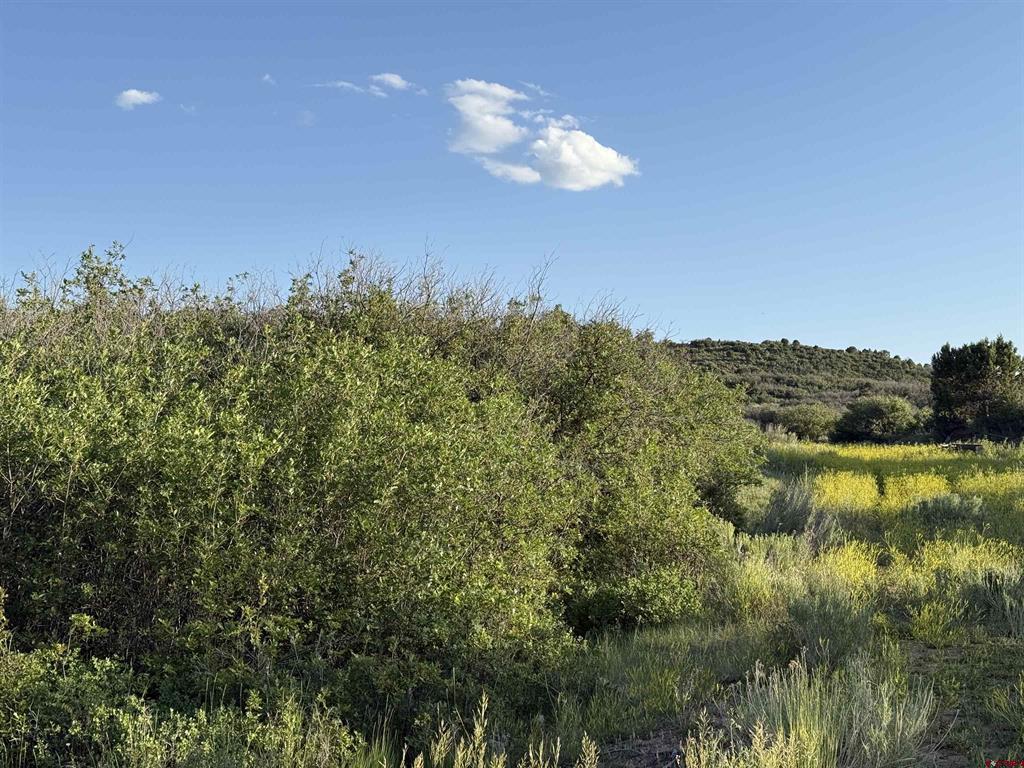 43867 Long Gulch Road