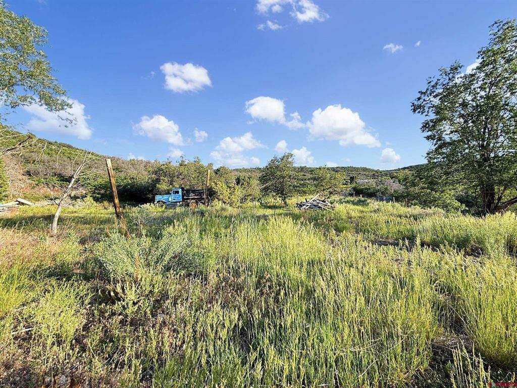 43867 Long Gulch Road