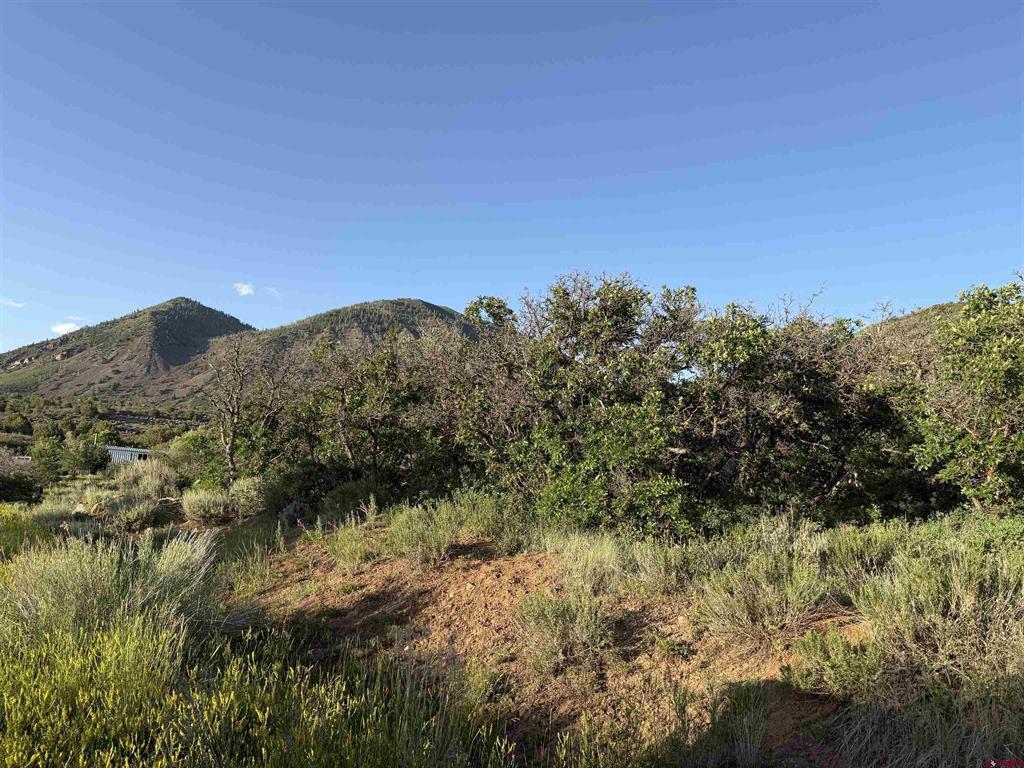 43867 Long Gulch Road