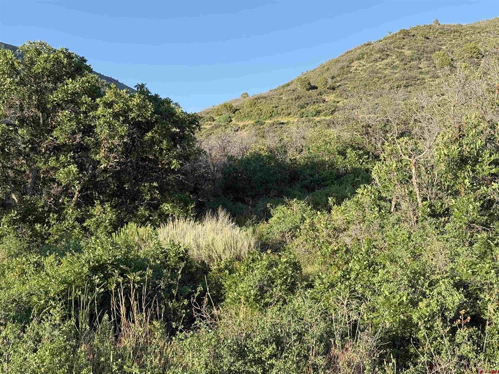 43867 Long Gulch Road