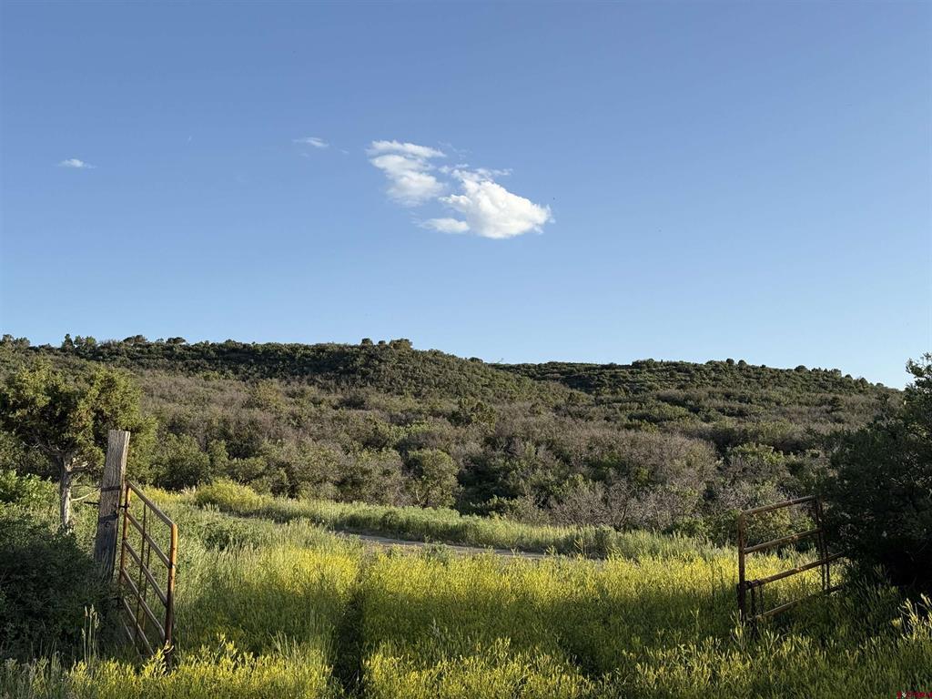 43867 Long Gulch Road