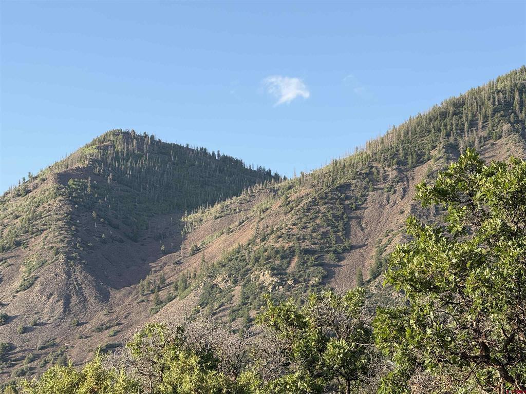 43867 Long Gulch Road