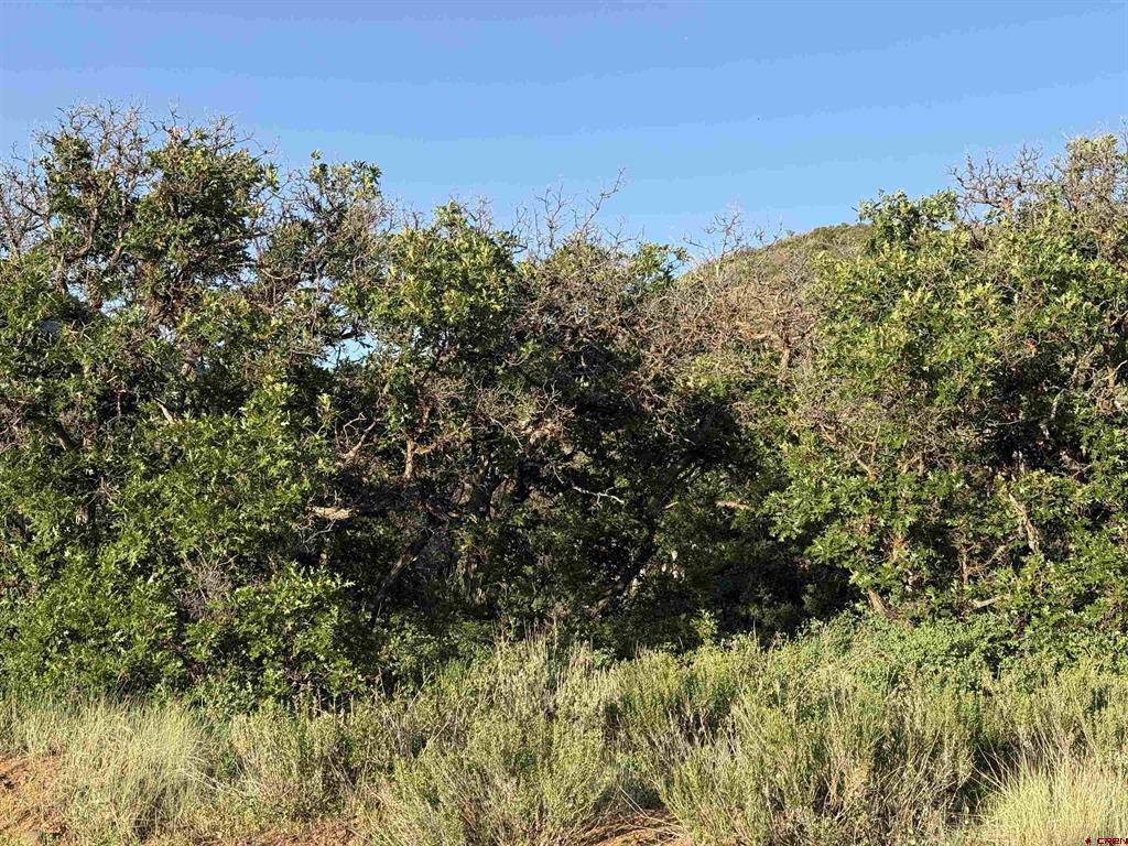 43867 Long Gulch Road