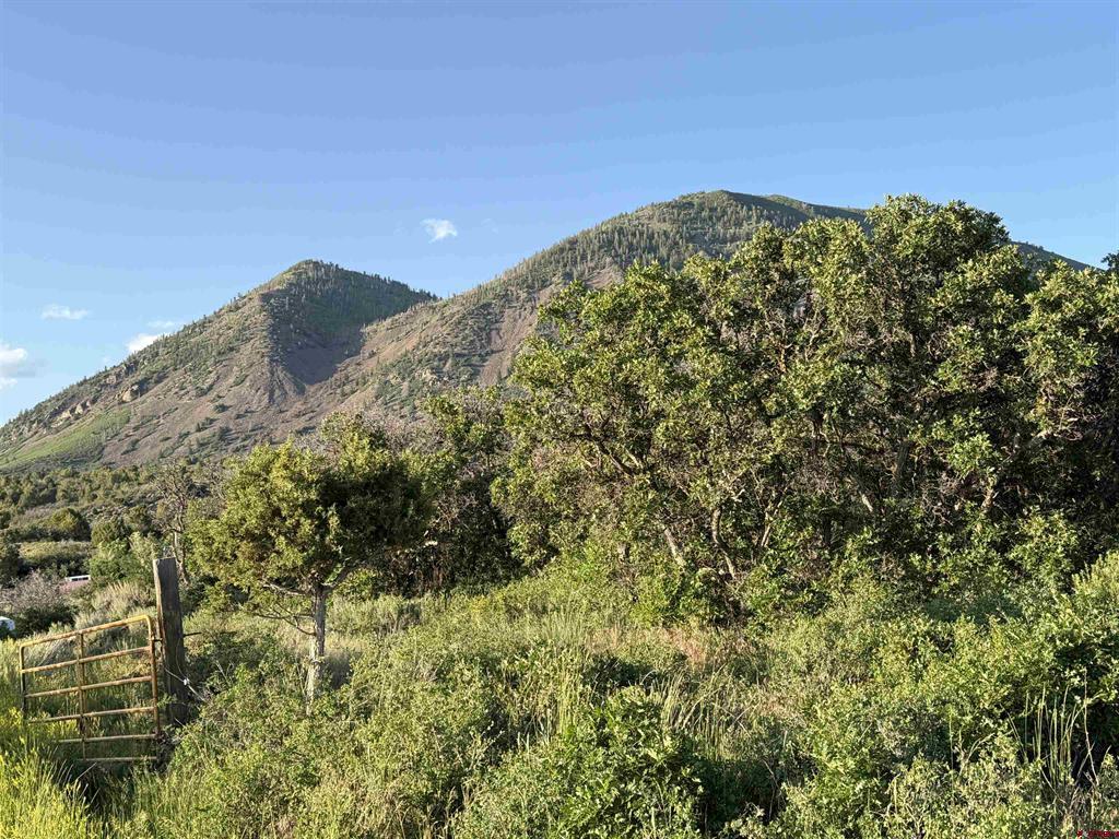 43867 Long Gulch Road