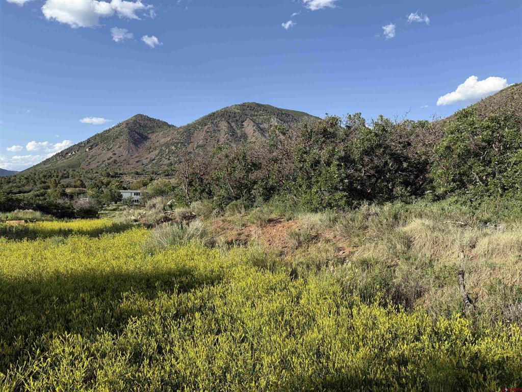 43867 Long Gulch Road