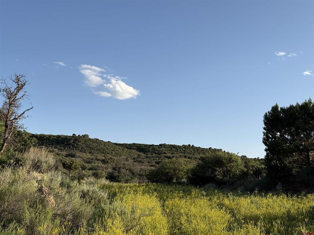 43867 Long Gulch Road