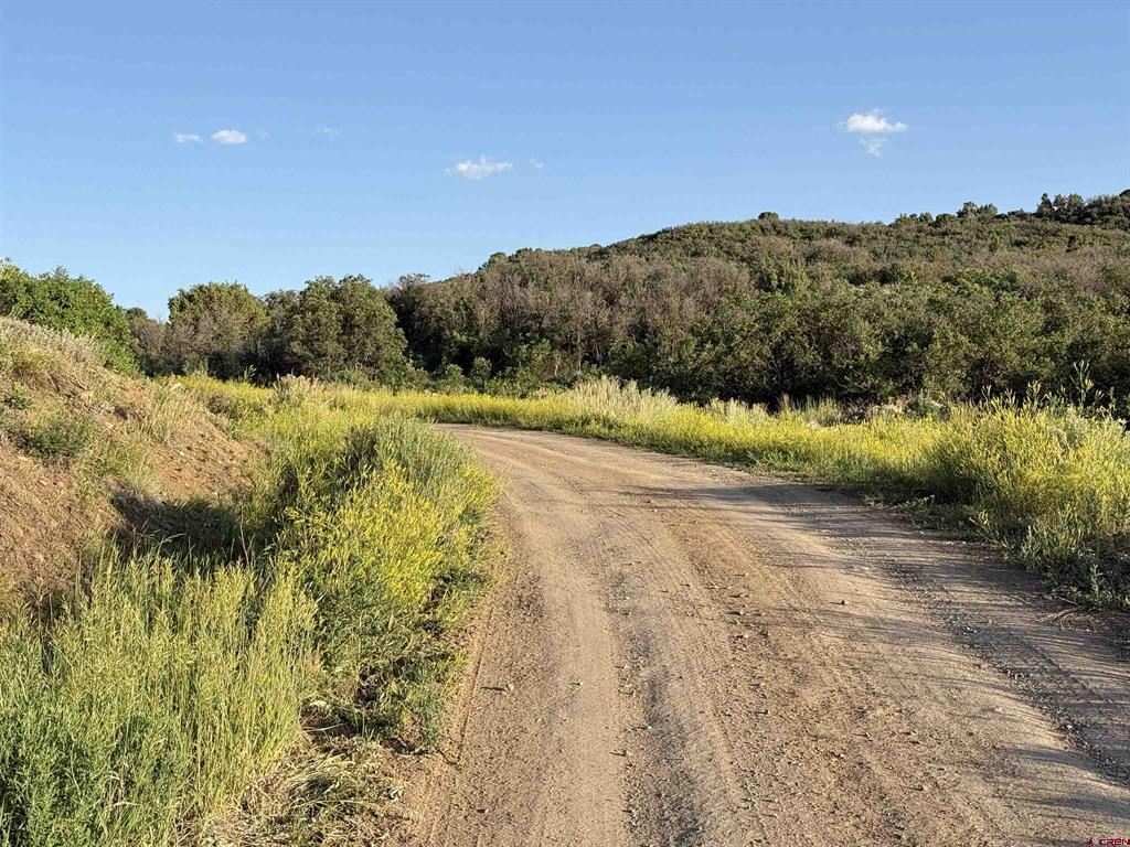 43867 Long Gulch Road