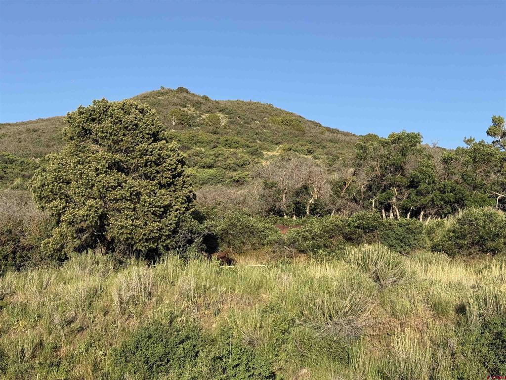 43867 Long Gulch Road