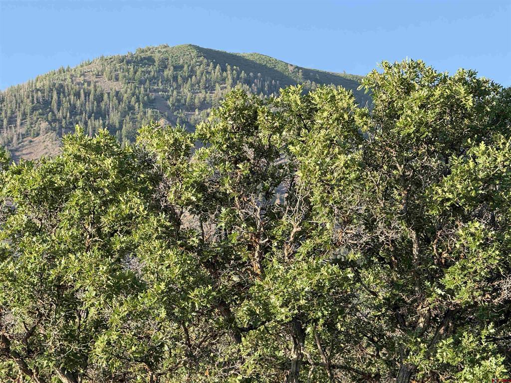 43867 Long Gulch Road