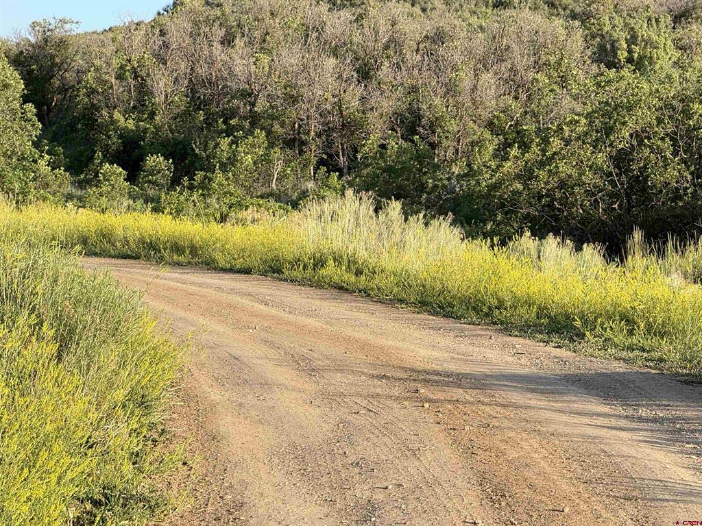 43867 Long Gulch Road