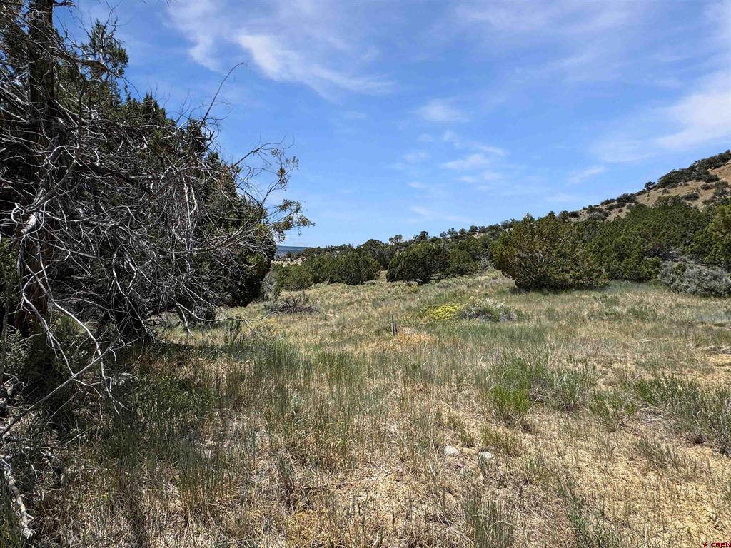 43157 Long Gulch Road