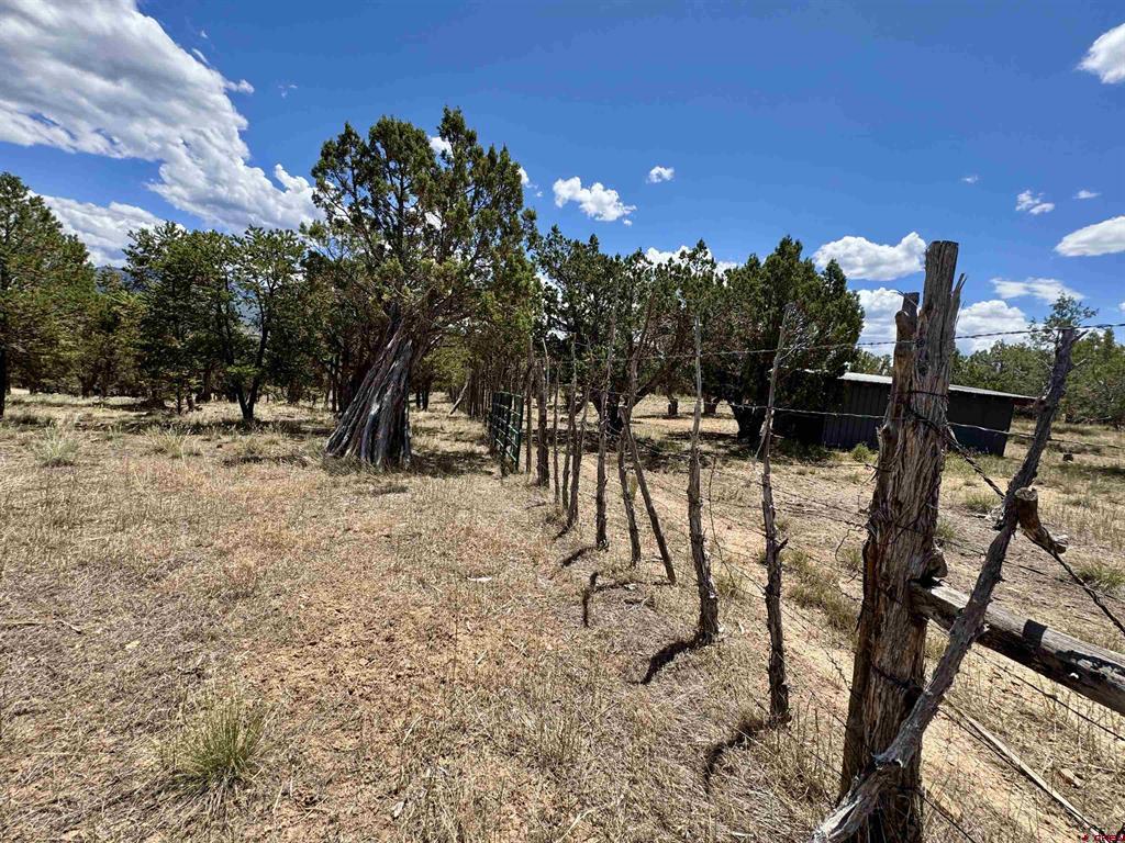 79565 Antler Trail