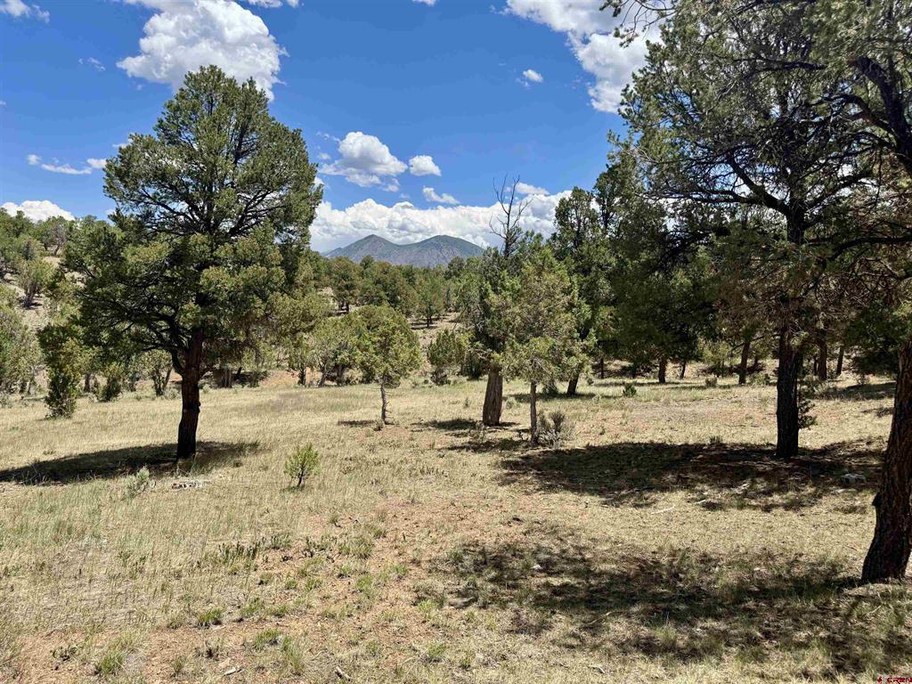 79565 Antler Trail