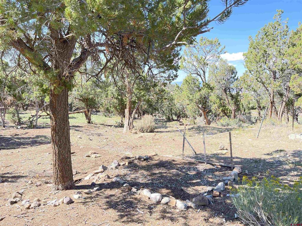 2001 Black Canyon Rd