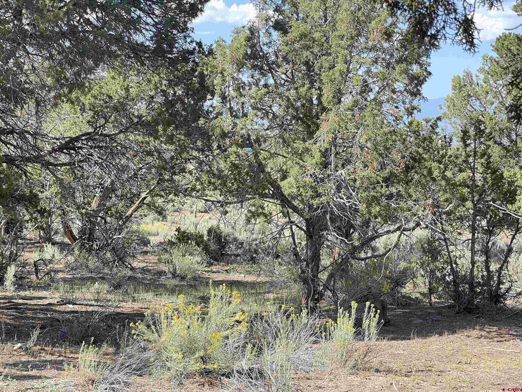 2001 Black Canyon Rd