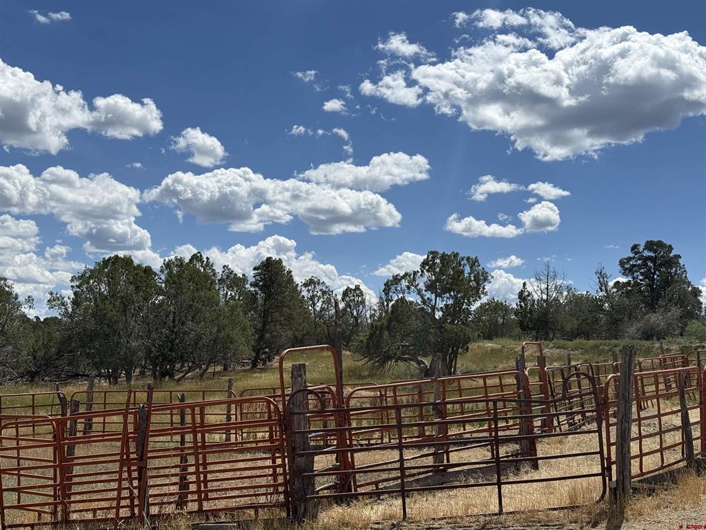 34706 Fruitland Mesa Road