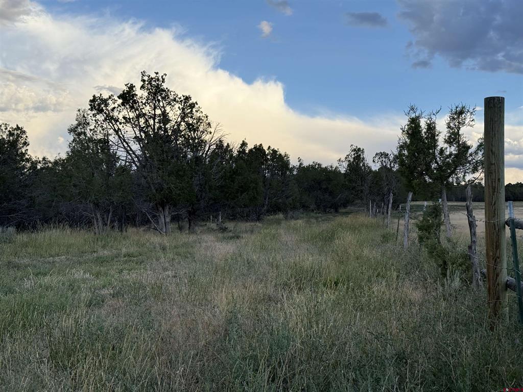 34706 Fruitland Mesa Road