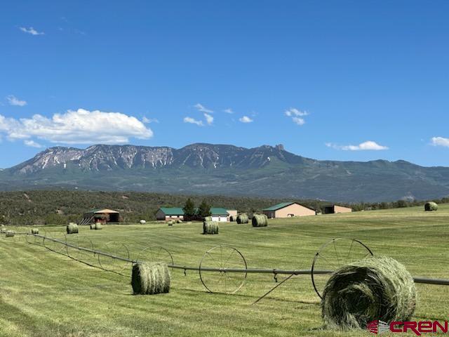 38832 Fruitland Mesa Road