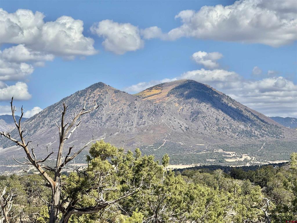 38832 Fruitland Mesa Road