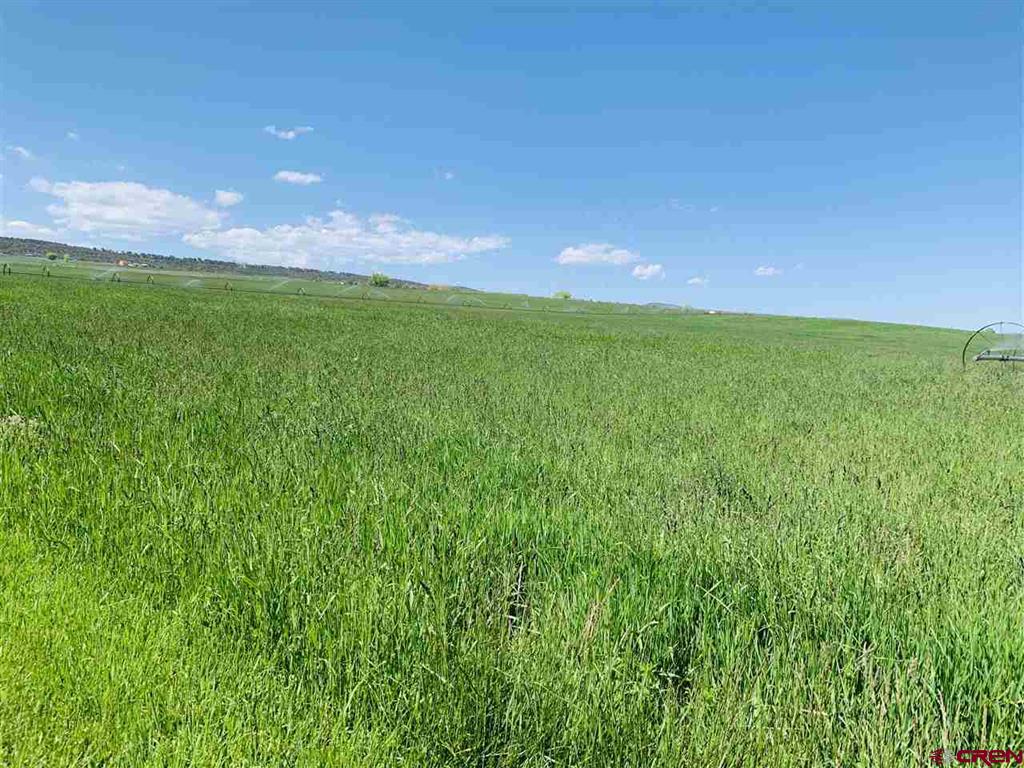 38832 Fruitland Mesa Road