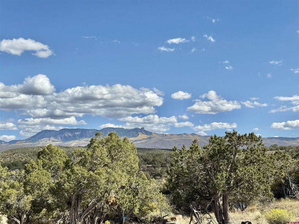 38832 Fruitland Mesa Road