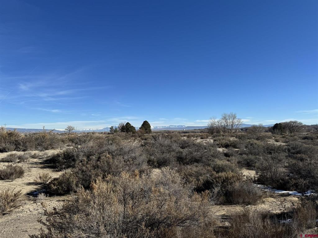 Lot 31 Appaloosa Street