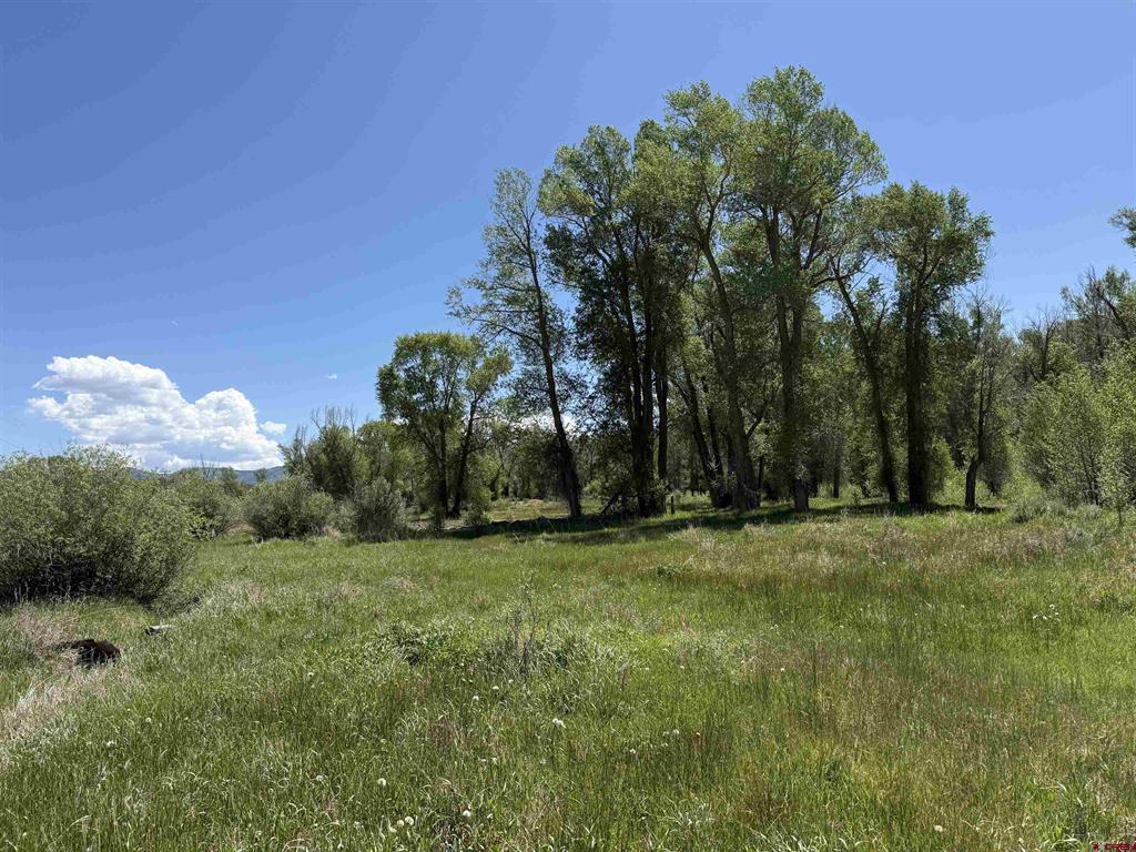 82653 Highway 92