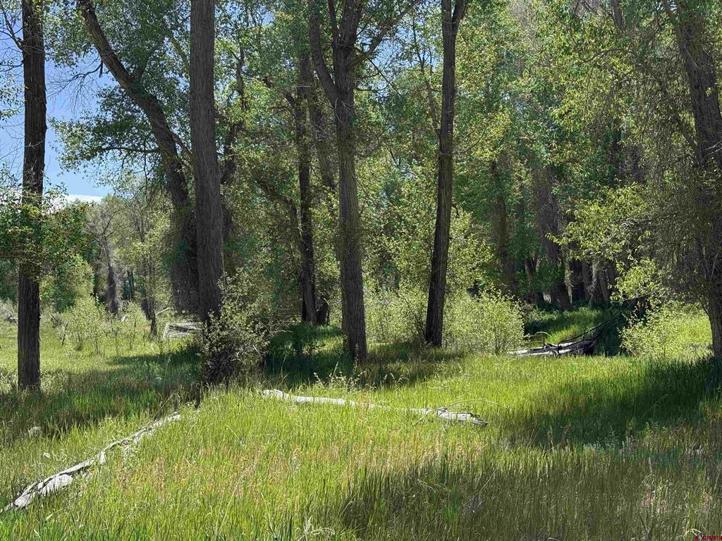 82653 Highway 92