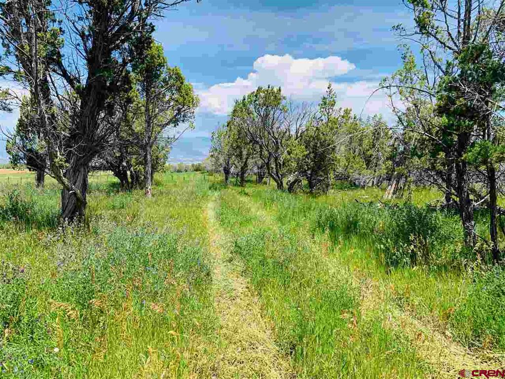 678 3375 Road